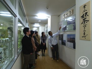 300年丸久小山园工厂听匠人讲述日本抹茶文化世界邦旅行网