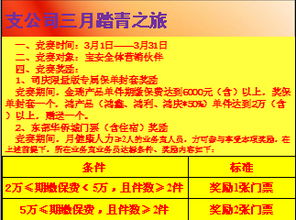 保险公司宁波迪拜旅游业务方案宣导18页.ppt