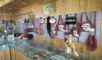 根河市开展传统知识产权保护专项调研