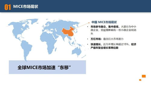 某央企旅游集团b端会展业务混合所有制改革项目