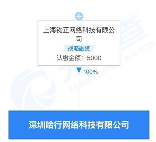 哈啰关联公司在深圳成立新公司,拓展旅游业务新布局